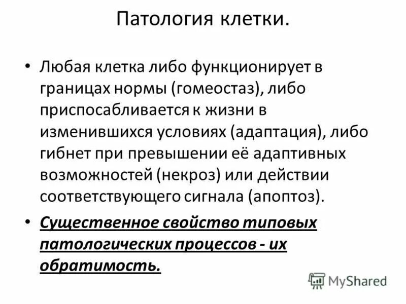 Общая патология это. Патология клетки. Виды патологии клетки. Общая патология клетки. Патология клетки патофизиология.