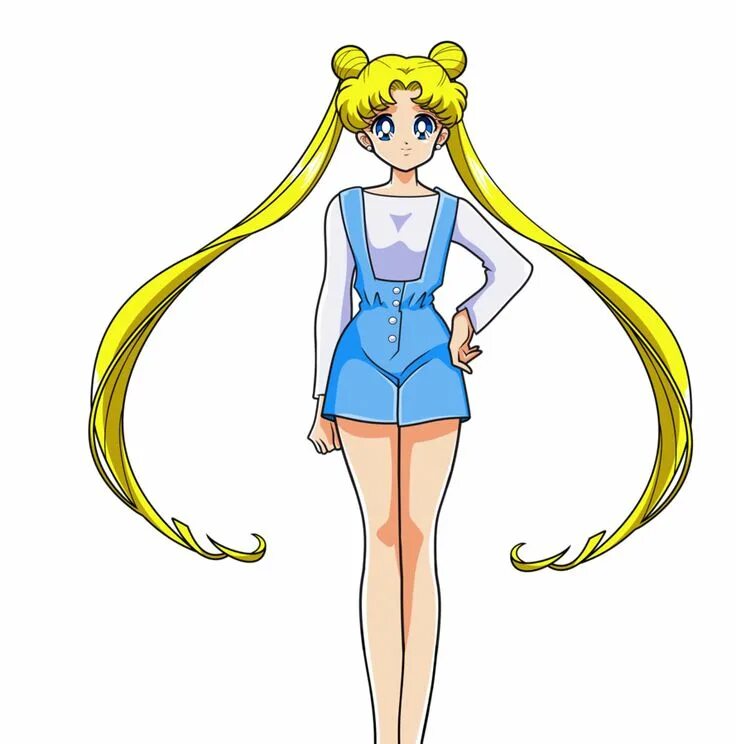 Web usagi