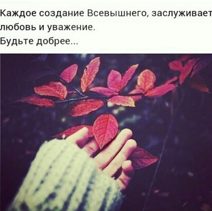 Картинки ведома