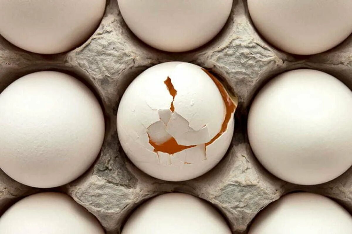 Cracking eggs. Cracking eggs