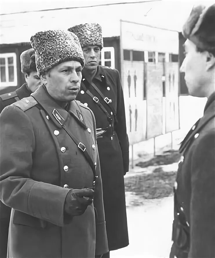 Журавлев ю п. Журавлев ю п