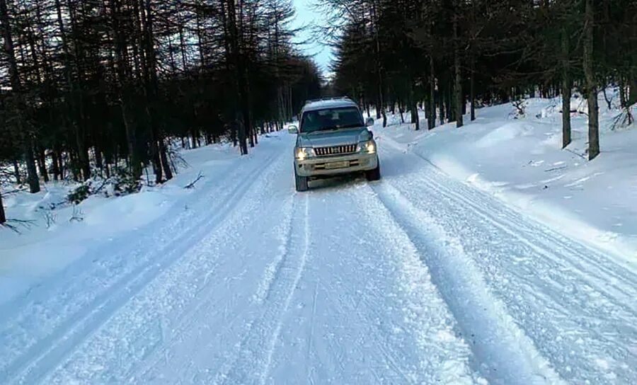 Где то в поле в магадане. Гороховое поле магадан. лыжня гороховое поле магадан фото.
