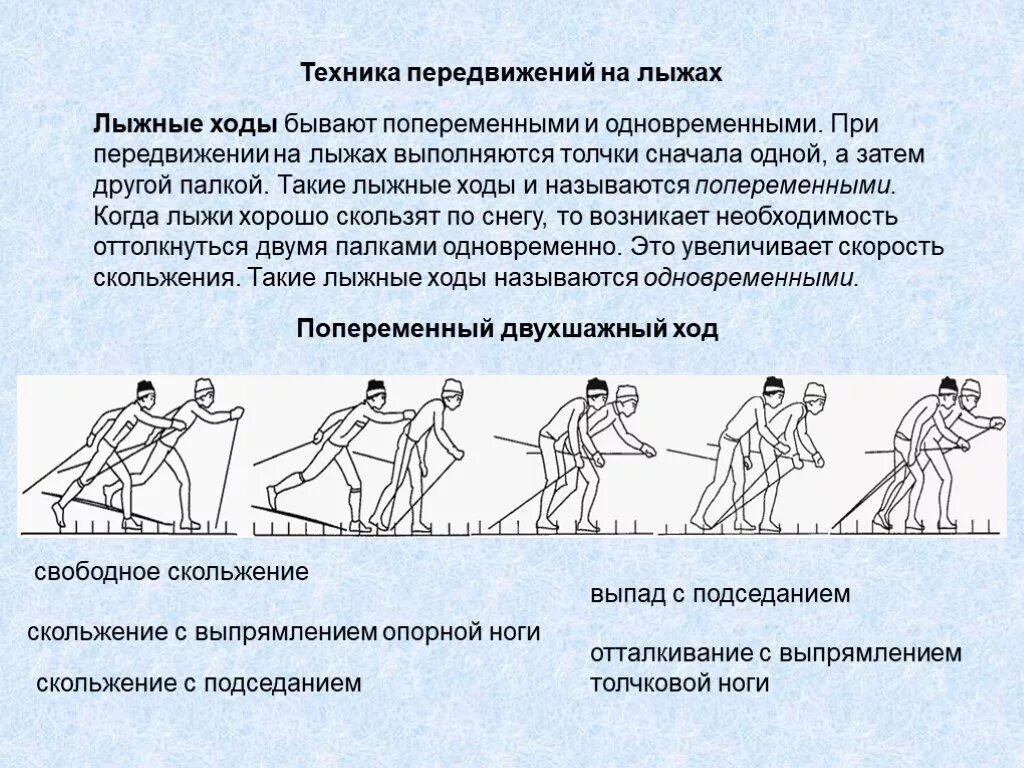 Реферат по физкультуре на тему лыжные ходы. Попеременный одношажный ход на лыжах техника. Техника перемещения лыжных ходов. Одновременный четырехшажный ход на лыжах техника. Лыжная подготовка способы передвижения на лыжах.