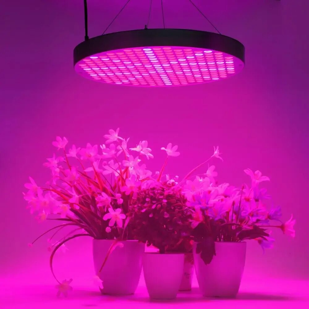 Фитолампа grow Light 40 Вт. Фитолампа Megaphoton 100w. Фитолампа е27 50вт. Plant grow Light фитолампа с 5 светильниками. Фитолампа что это