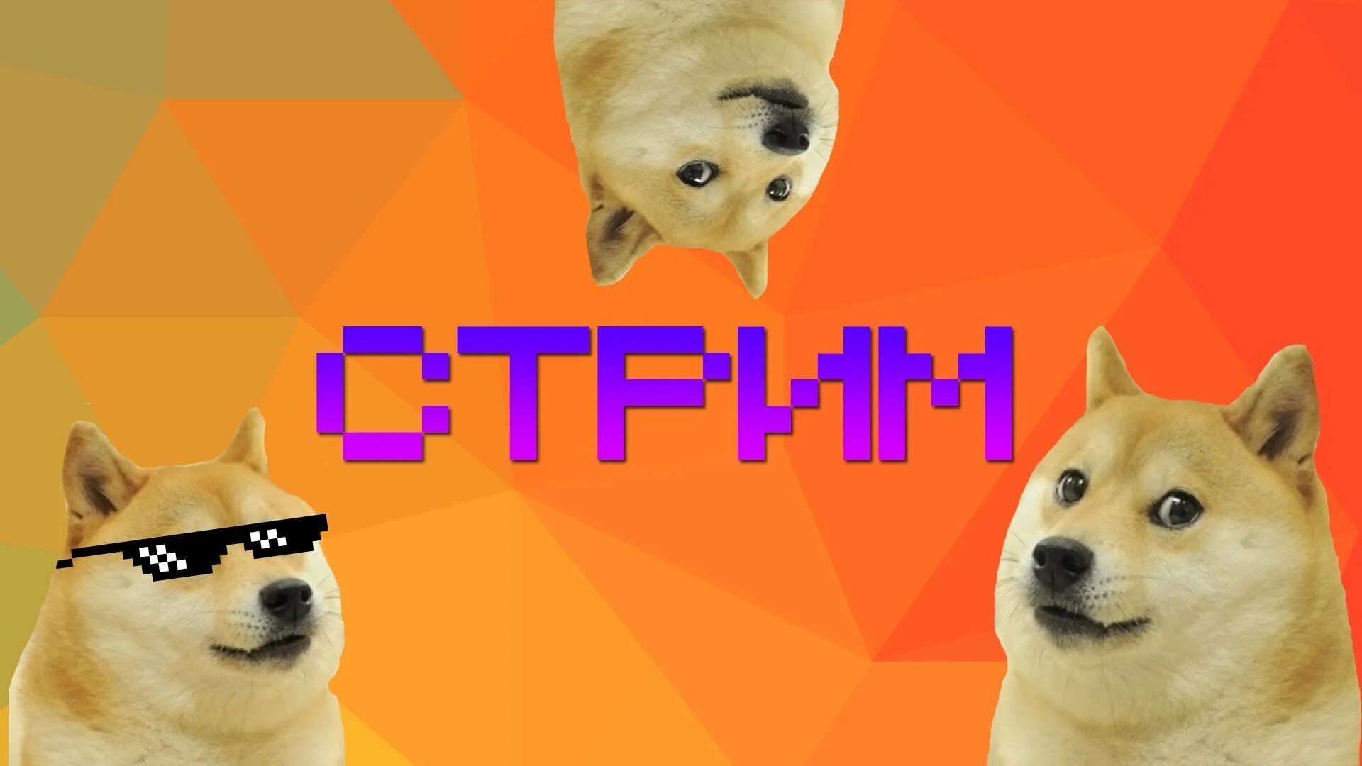 Киск стрим. Изображение для стрима. картина для стрима. превьюшка для стрима. фото для стрима.