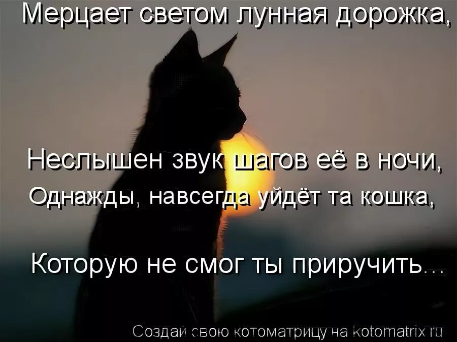 Коты уходят на радугу. Стих про кошку. Стихи о котах которые ушли. Стихи о котах которые ушли. Стихи о котах которые ушли.