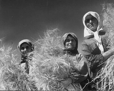 Village mother