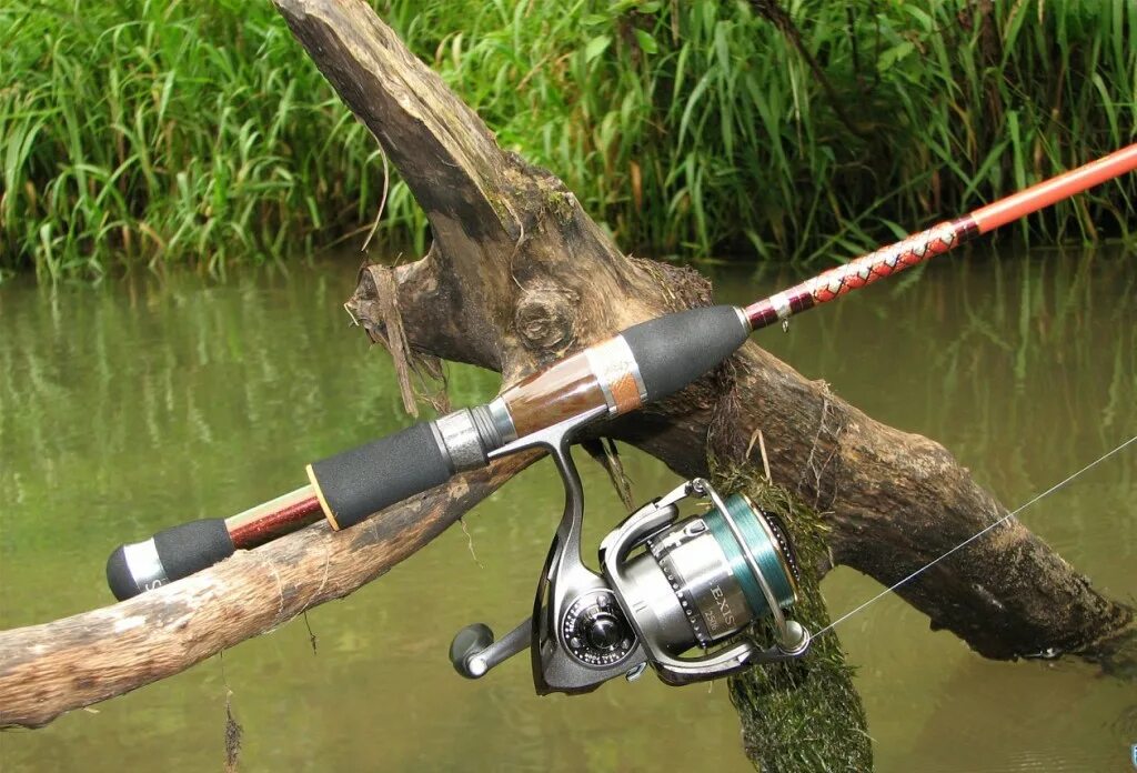 спиннинг shimano alivio dx 210. спиннинг что это. Maximus work horse swh21m. спиннинг что это. спиннинг в сборе.