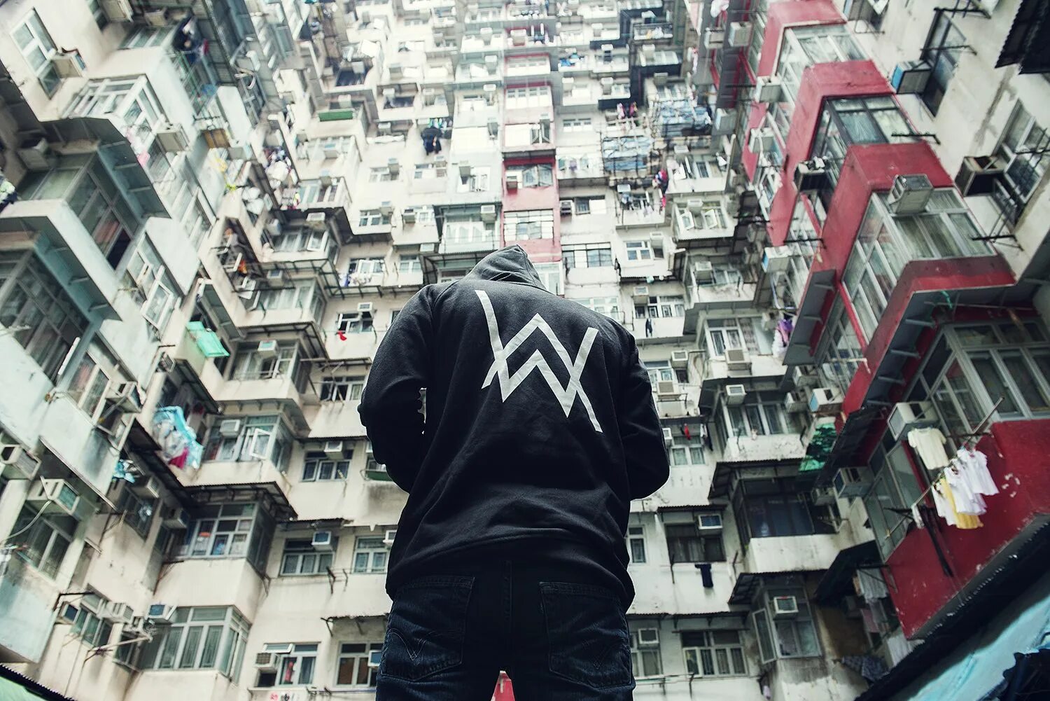 Alan Walker фото. Alan Walker sign. Ту синг фф