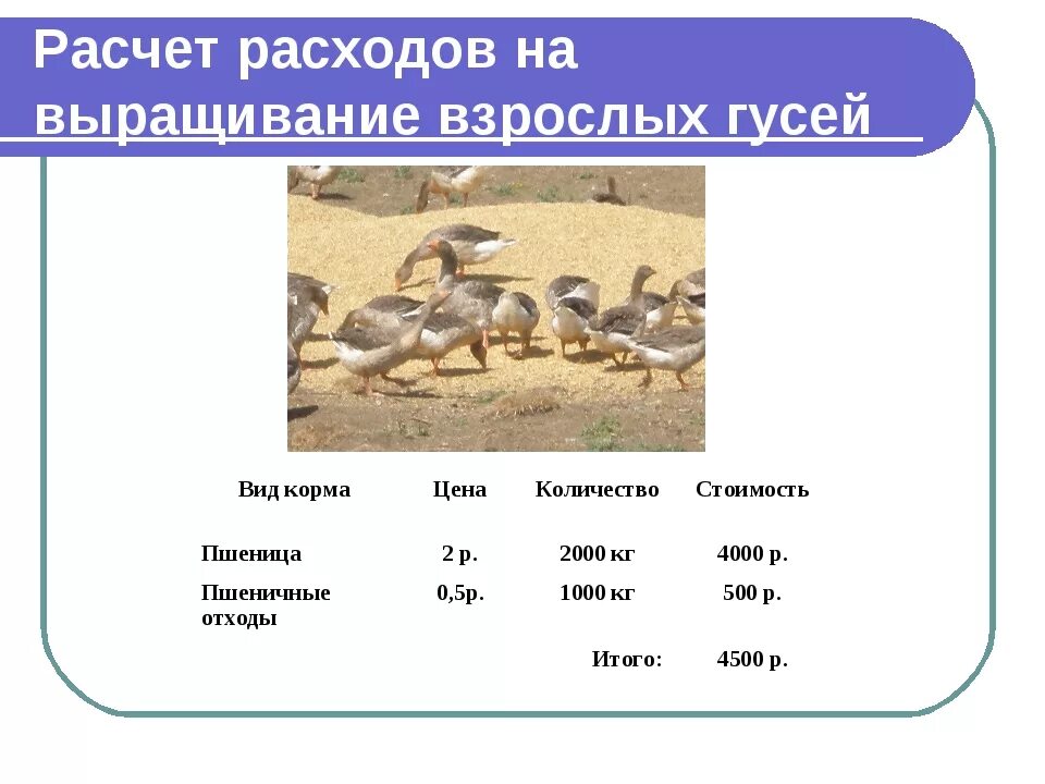 3 кг гуся на сколько