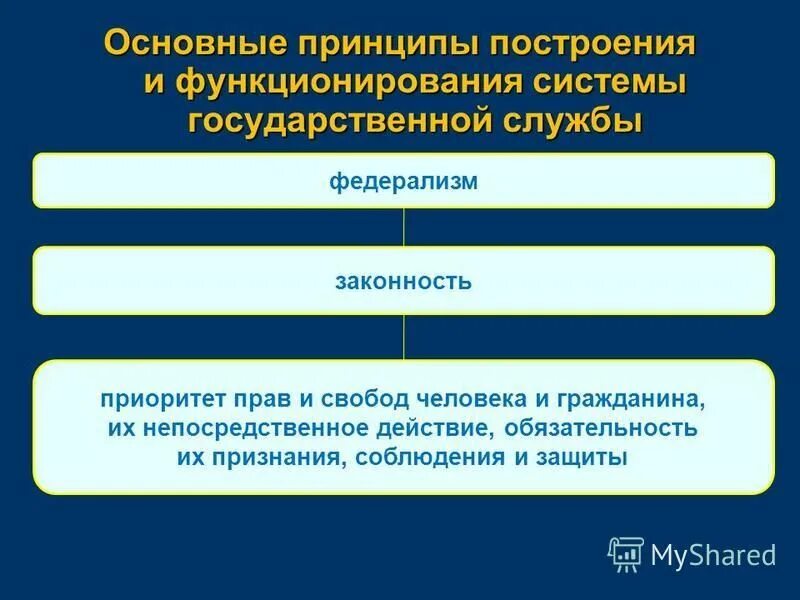 Основные принципы построения и функционирования системы госслужбы. Основные принципы функционирования государственной службы. Принципы построения и функционирования государственной службы. Принцип федерализма государственной службы. Принципы системы государственной службы.