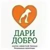 Дари добро помощь бездомным животным г унеча. Дари добро помощь бездомным животным г унеча