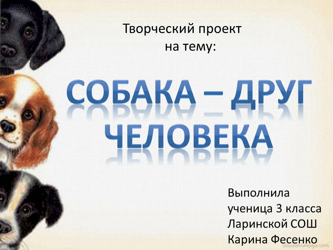 Почему собак друг человека