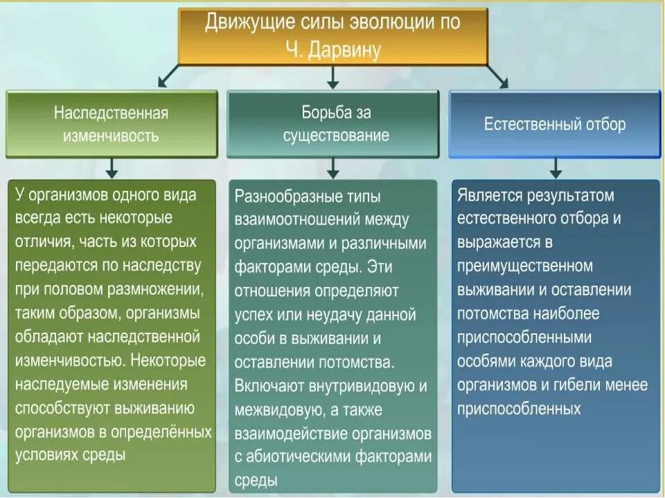 Приведите примеры доказывающие что отдельные виды