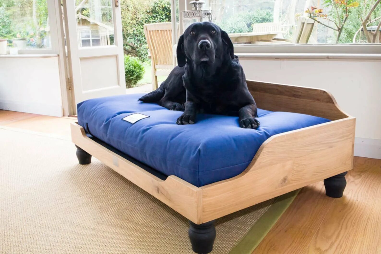 Собачья кровать для человека. Кровать для собаки. Кровать для собак крупных пород. Диванчик для собаки. Диван для собаки крупной породы.
