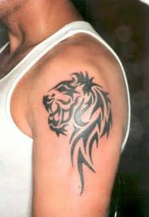 Lion Tattoos Lion tattoo, Tattoos gallery, Animal tattoos