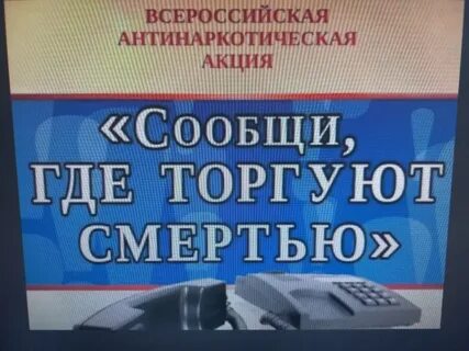 Сообщи где торгуют смертью акция 2024 год