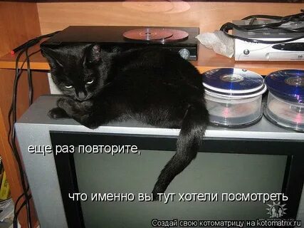 Повторяй еще раз включи