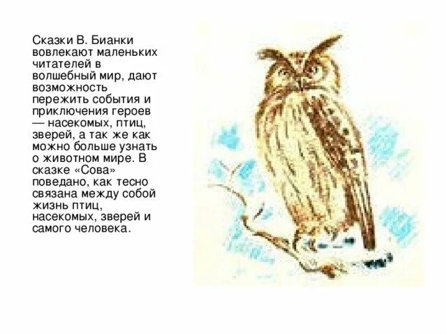 Бианки сова жанр. Герои рассказа сова бианки. сказка сова бианки. рассказ бианки сова текст. бианки сова читательский дневник.