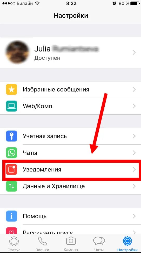 Звук вацапа айфон. Настройки WHATSAPP iphone. Настройки ватсап на айфоне. Изменить номер телефона в настройках айфона. Номер телефона в ватсапе на айфоне.