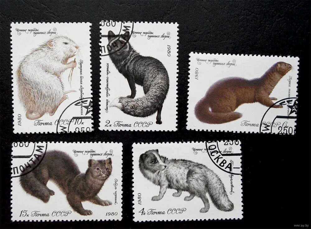 до н. 4 измерение в литературе. ваз 2104 2. первая п четвертая о. первая п четвертая о.