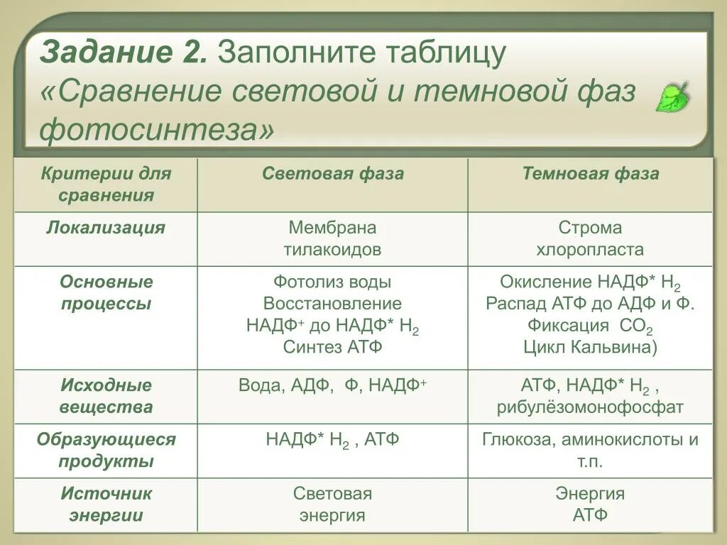 Место световой фазы. Продукты световой и Темновой фазы фотосинтеза. Темновая фаза фотосинтеза конечные продукты. Фазы фотосинтеза световая и темновая таблица. Фотосинтез световая фаза и темновая фаза таблица.