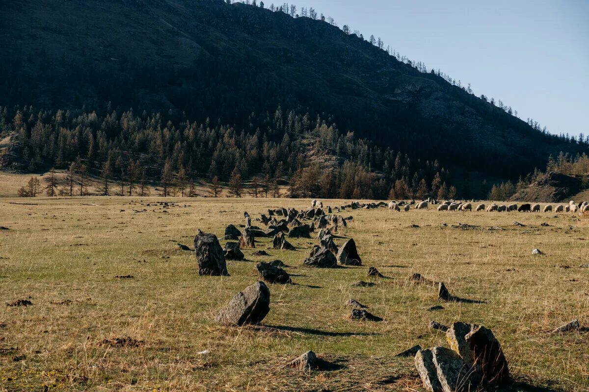 Каракольская Долина Алтай. Башадарские Курганы Алтай. Каменные войны Каракольская Долина Алтай. Башадарские Курганы (Онгудайский район).