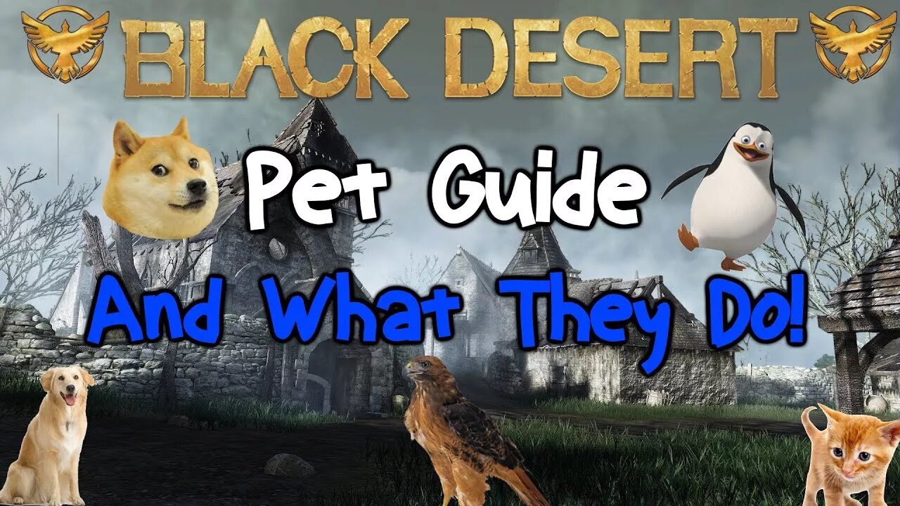 Pets guide. Блэк десерт питомцы 4+3 =. BDO Pets. Pet breeding games. Desert Pets in real Life.