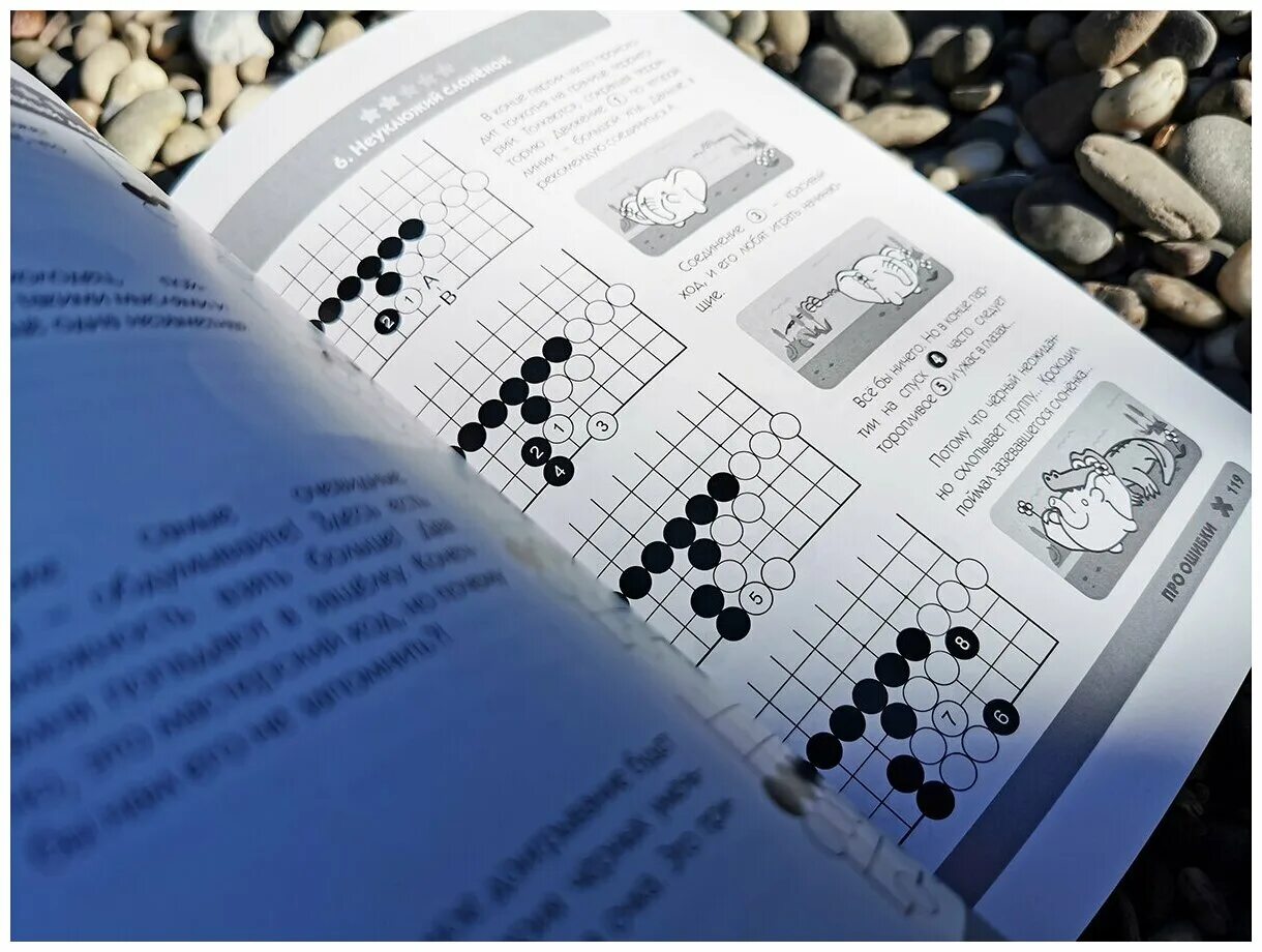 Коты го кожунков алексей. Кожунков научитесь играть в го. 1000 задач по игре го алексей кожунков. Научитесь играть в го книга. Играющая в го книга.