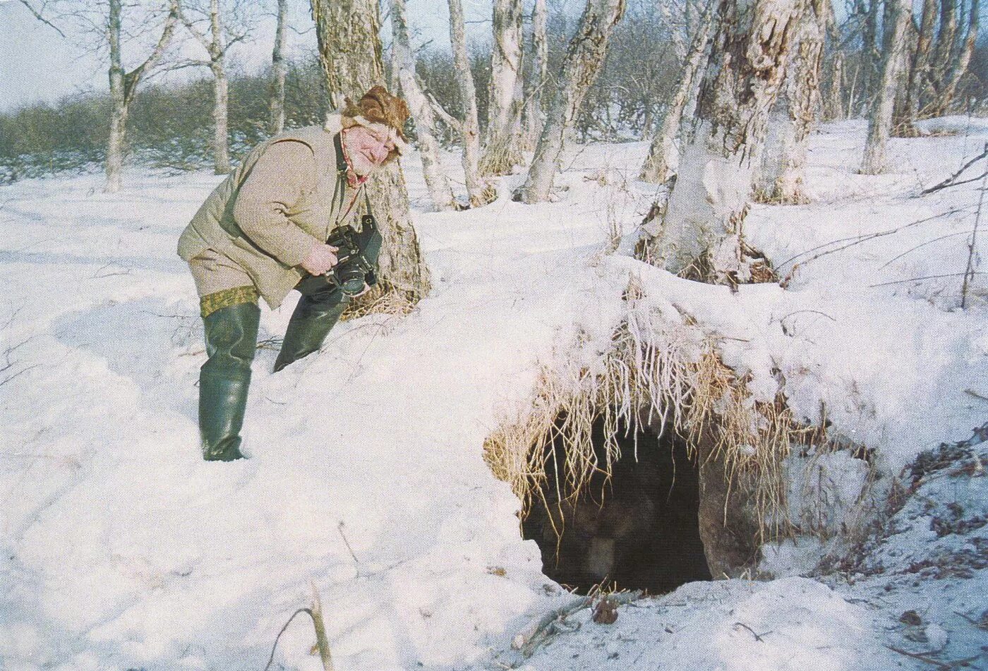 Сделать берлогу. Медвежья Берлога. Медвежья Берлога Берлога медведя. Медвежья Берлога зимой. Медвежья Берлога в лесу.