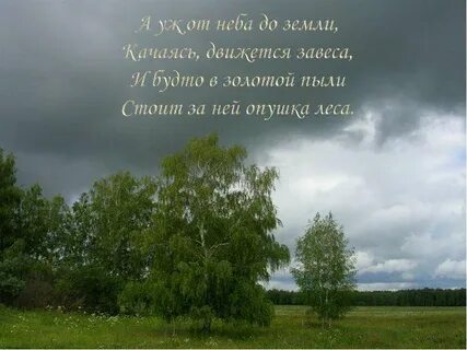 Опушка леса стихотворение