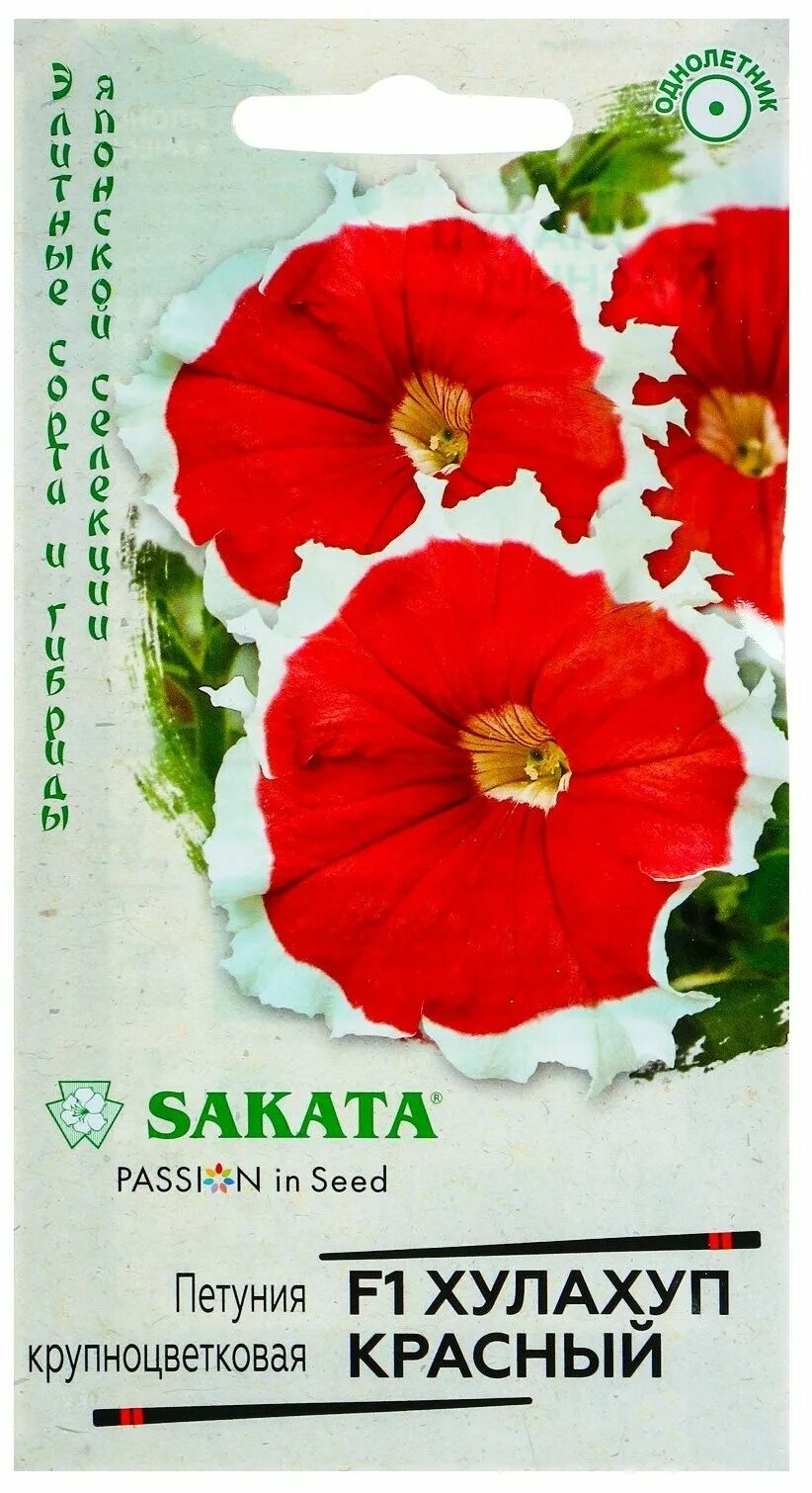 петуния хулахуп вельвет f1. петуния пикоти вельвет f1. петуния violet picotee. петуния грандифлора хулахуп вельвет. петуния фрост вельвет грандифлора.