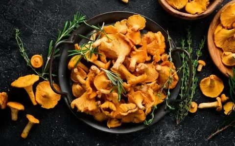 Мыть лисички перед сушкой