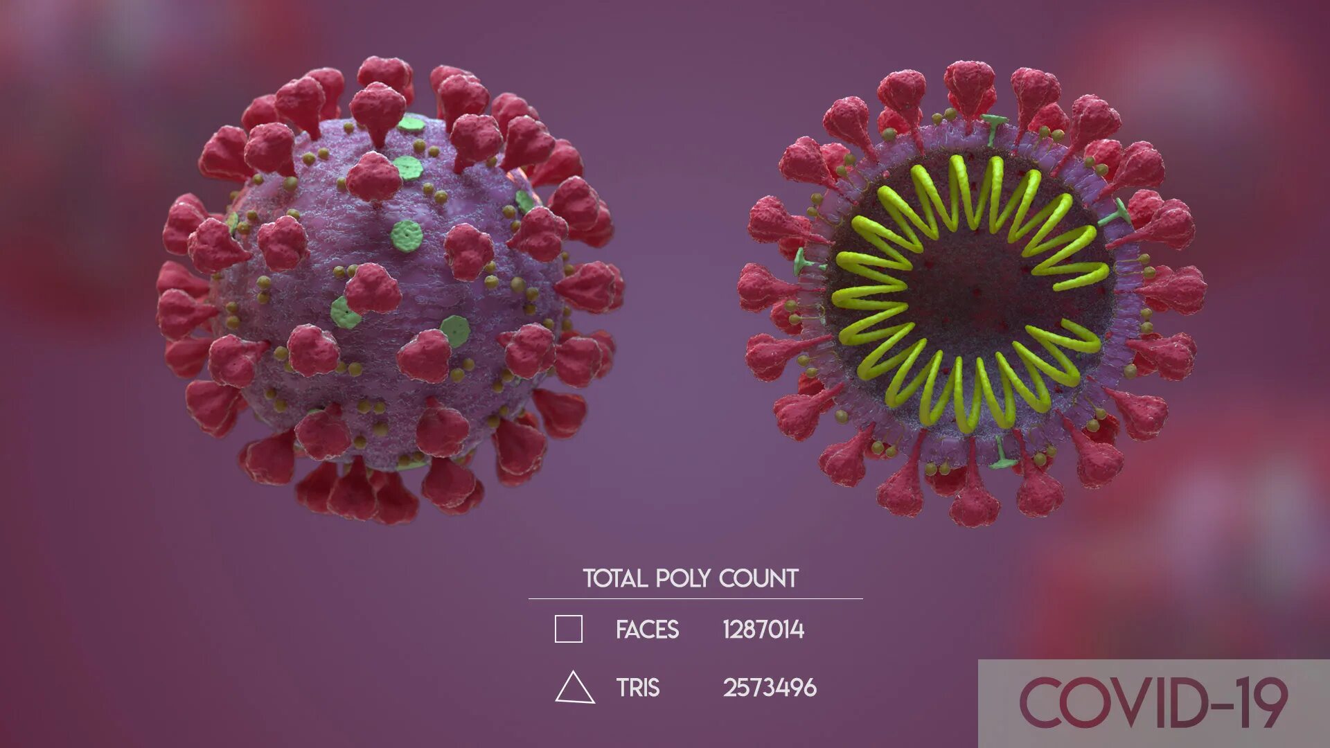 Вирус 3 играть. Вирус 3д. 3d модель вируса. Бумажная модель вируса. Вирус кори микробиология 3д модель.