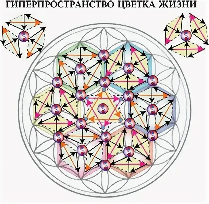 Меркаба пятиугольник. Узоры циркулем. Цветы жизни описание. Меркаба друнвало. Цветок жизни весика писцис.