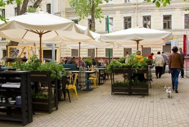 Веранды москвы. Веранда на чистых прудах. Веранда на чистых прудах. Кафе на патриарших прудах с верандой. Веранда на чистых прудах.