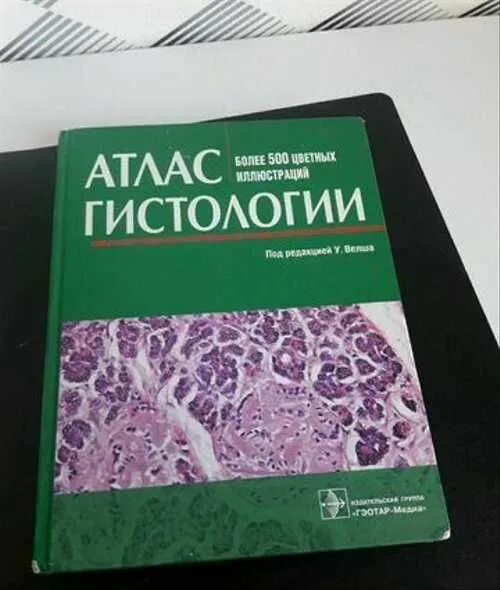 Атлас по гистологии. Гистология атлас. электронный атлас по гистологии надпочечники. атлас алмазова по гистологии.