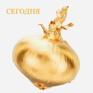 Золотая лучок