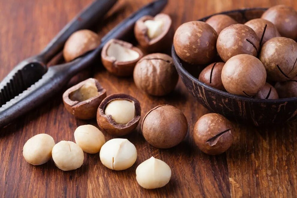 Экзотические орехи. Мадагаскарский орех. Macadamia Nuts. Макадамия орех дерево. Африканский орех макадамия.