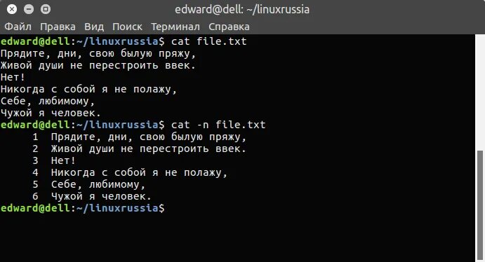 Командная строка файлы в директории. Путь к файлу в командной строке. Командная строка файлы в директории. Создание файла в командной строке. Как создать каталог в командной строке.