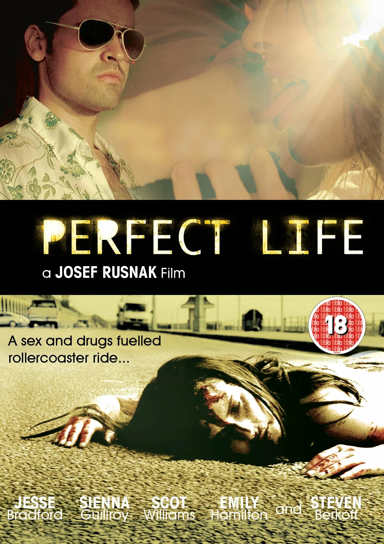 Идеальная жизнь 2010. Perfect Life.