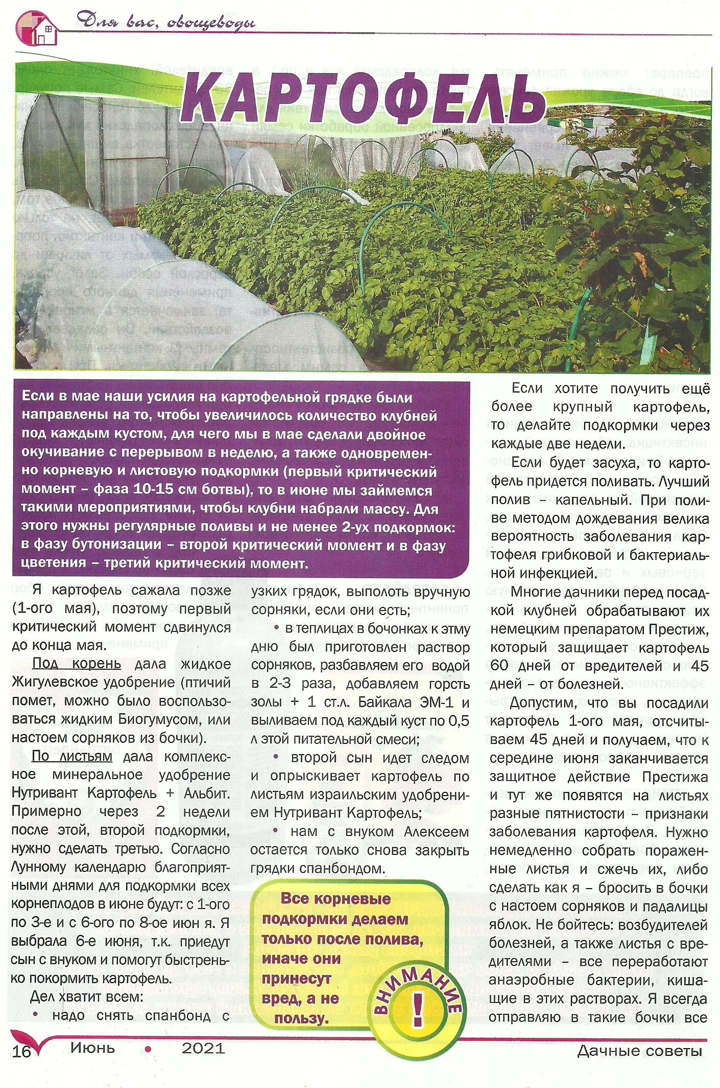 Дачный. Дача советы. Старосельцева дачные советы. Дачные советы галины старосельцевой 2023. Дачные истории с галиной старосельцевой.