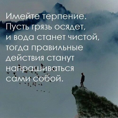 Обладает терпением. Имейте терпение пусть грязь осядет. Имейте терпение пусть грязь осядет и вода станет чистой и прозрачной. Высказывания грязь осядет. Имейте терпение пусть.