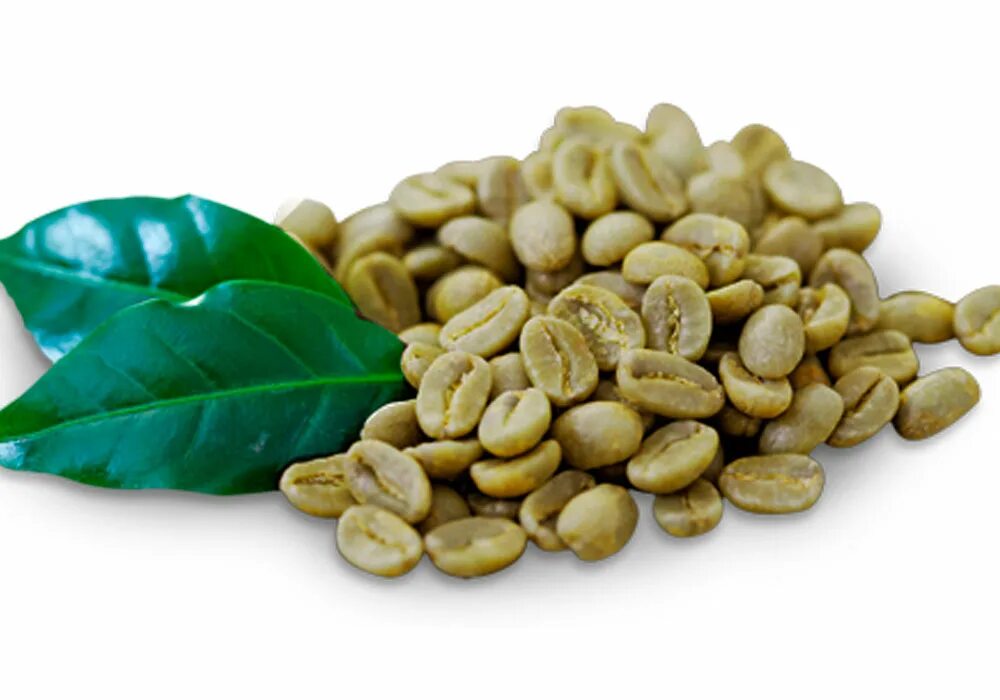 Лучший зеленый кофе. Green Coffee extract. Зеленый кофе в зернах. Кофе зеленый зерновой. Кофейные зерна.