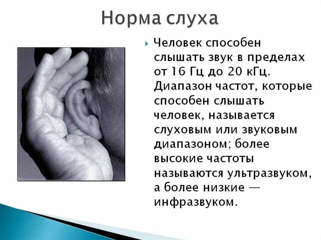 Слышу звуки которых нет. Слух человека. Слух человека и животных. Характеристики слуха человека. Проект слух человека и животных.