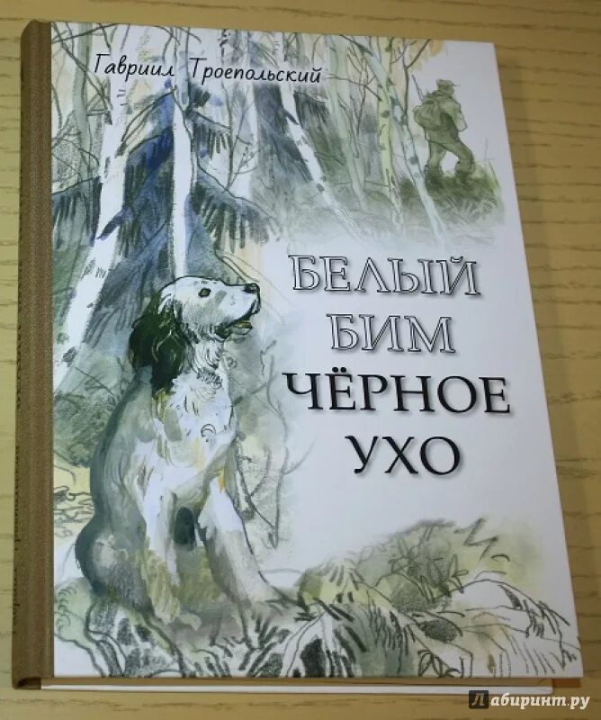 Произведение бим черное ухо. Иллюстрации в книге г.Троепольского белый Бим черное ухо. Обложка книги Троепольский белый Бим черное ухо.