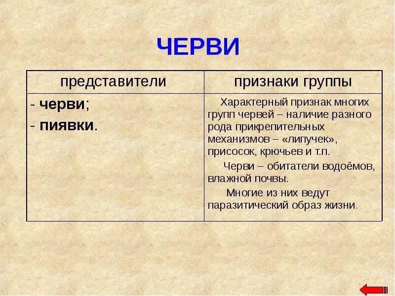 Группа черви признаки группы