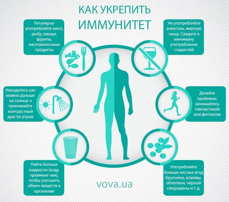 Укрепление детского иммунитета. Здоровый иммунитет. укрепление иммунитета плакат. сохраняем иммунитет. иммунитет здорового человека.