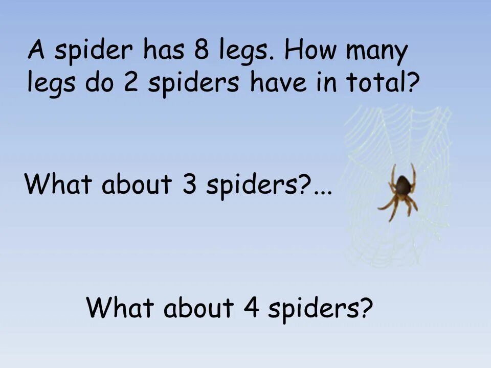 A Spider has got eight Legs 3 класс. A Spider has got eight Legs перевод. Spider can Crawl. Spider has 8 Legs.