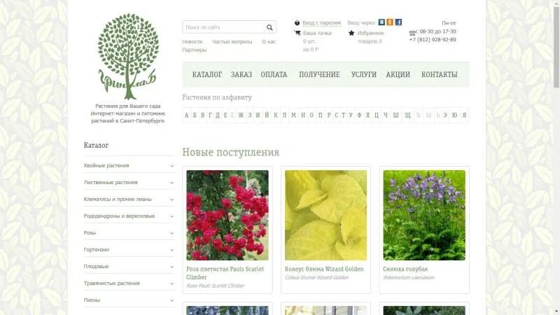 Сад эдема. Сад эдема. Сады россии интернет. Вереск элси пурнелл зимостойкость. Питомник сады эдема.